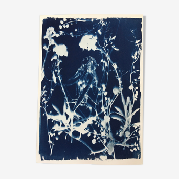 Cyanotype