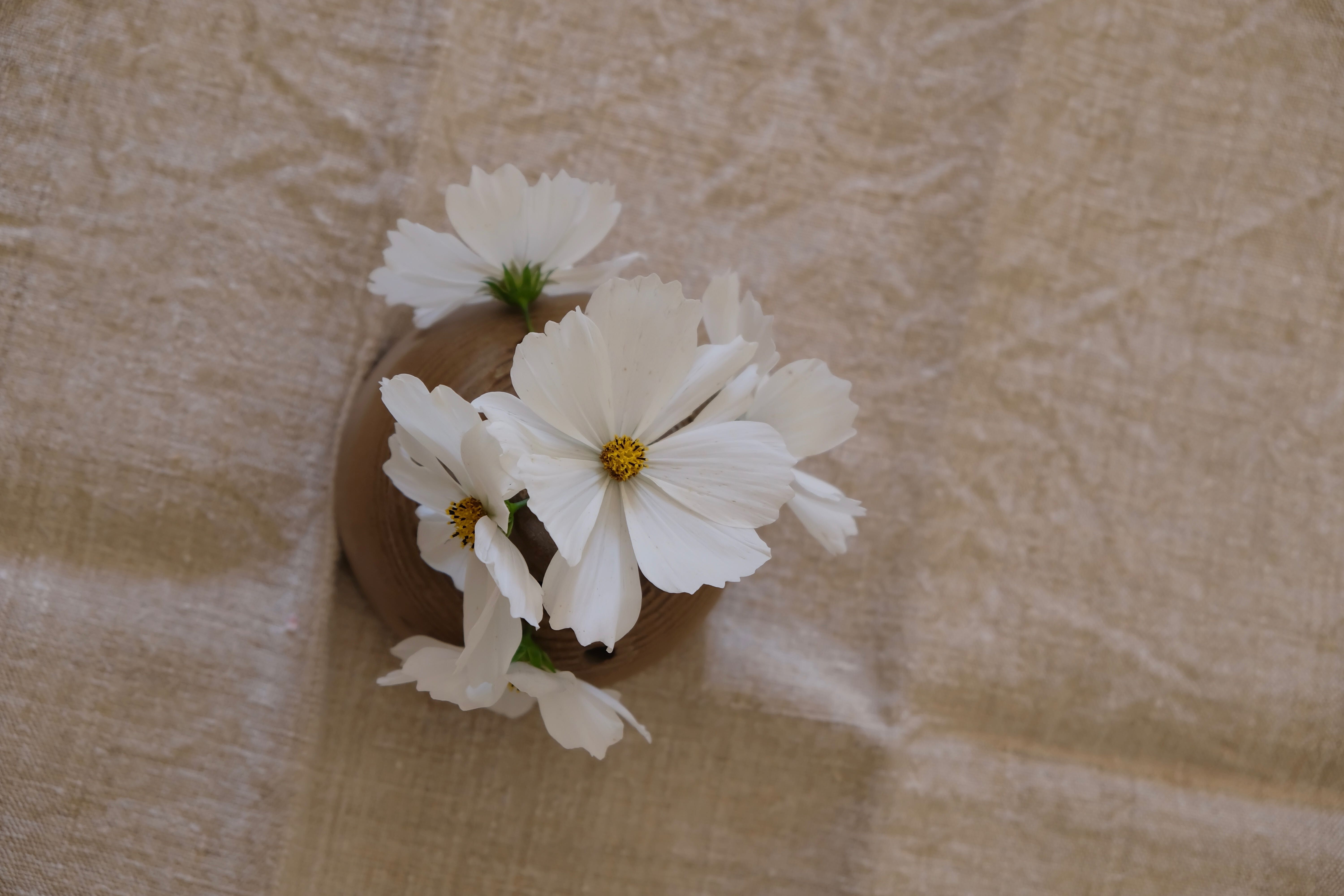 Pique vase Fleurs Vallauris in sandstone