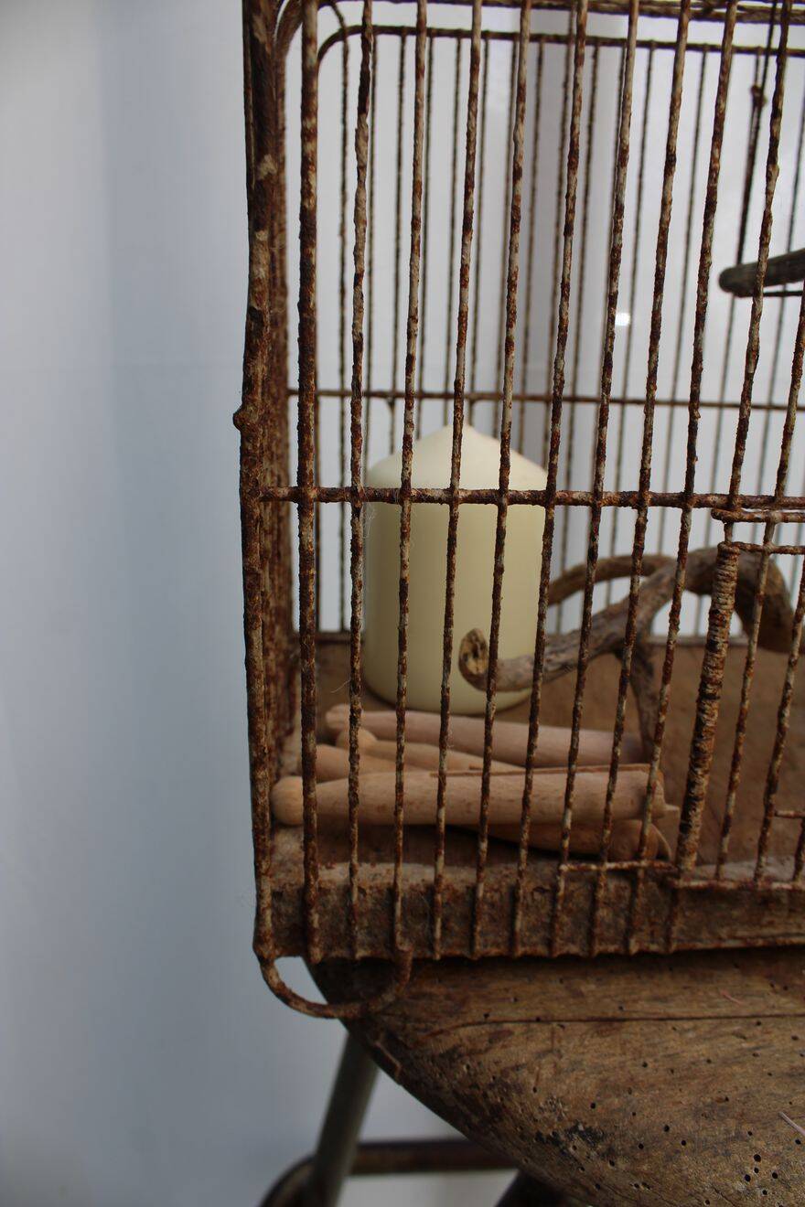 Old birdcage
