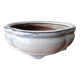 Pot à bonzai