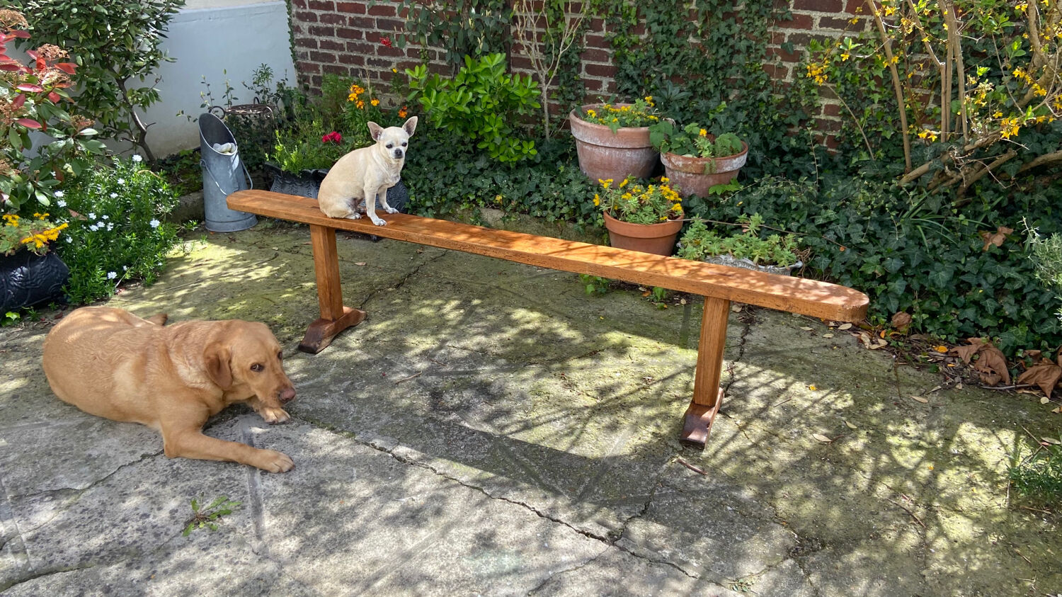 Old farmhouse bench early twentieth century