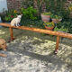 Old farmhouse bench early twentieth century