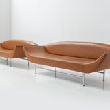 Canapés Ellittico de Losa Ghini pour Moroso Italie 1987