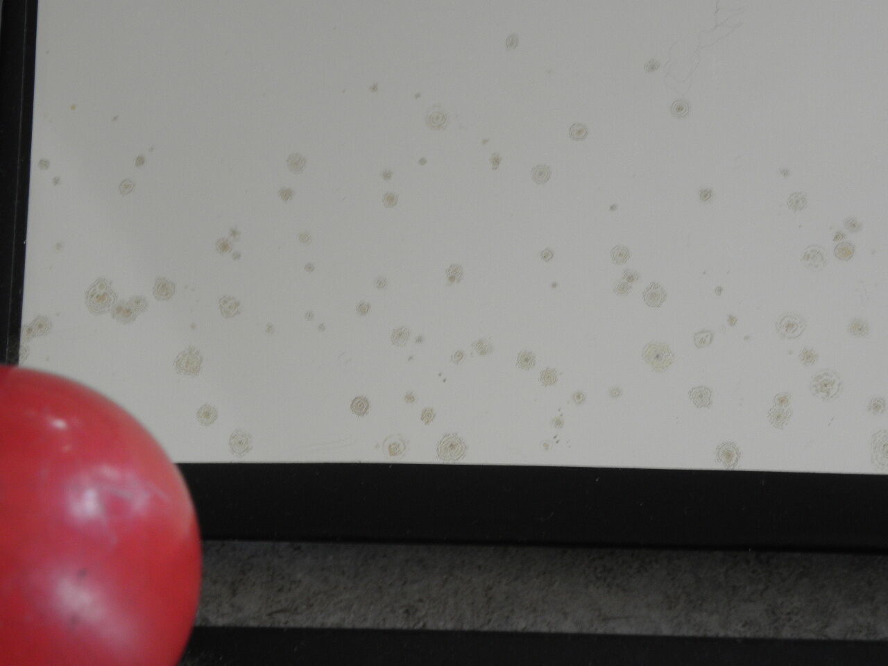 50' vintage ball coat rack