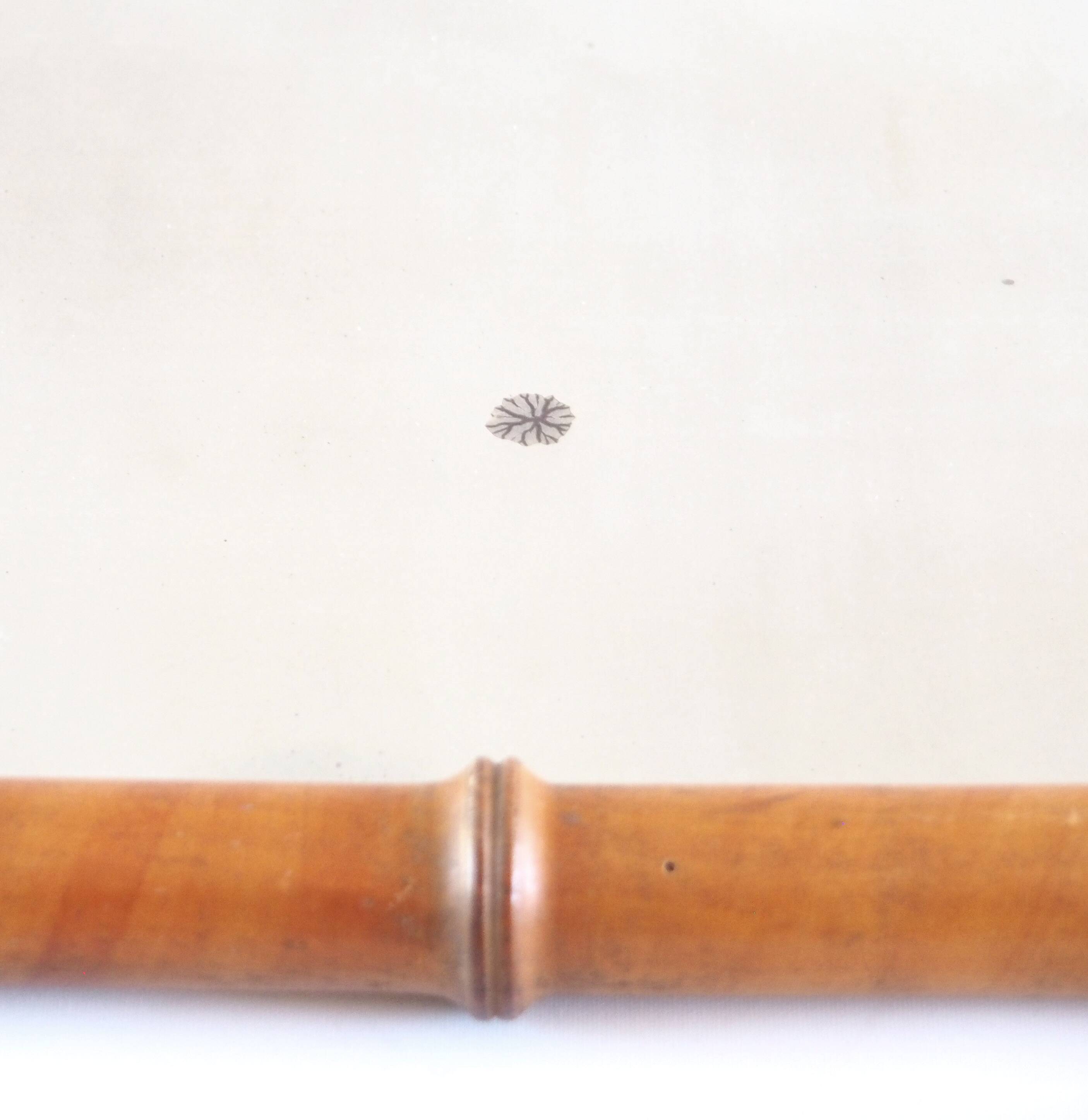 "Bamboo" mirror 1900