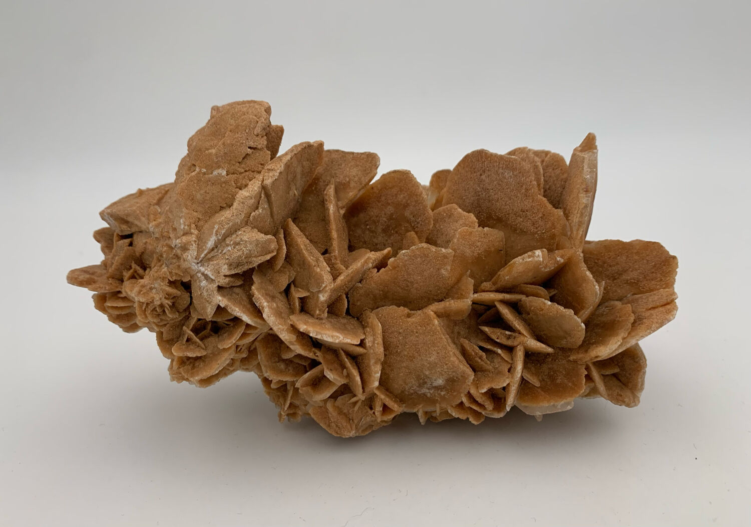 Sand rose, 555 grams, 16 cm x 9 cm