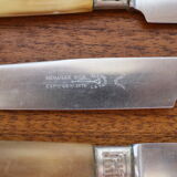 Set of 10 horn knives