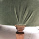 Meridian Napoleon III green velvet
