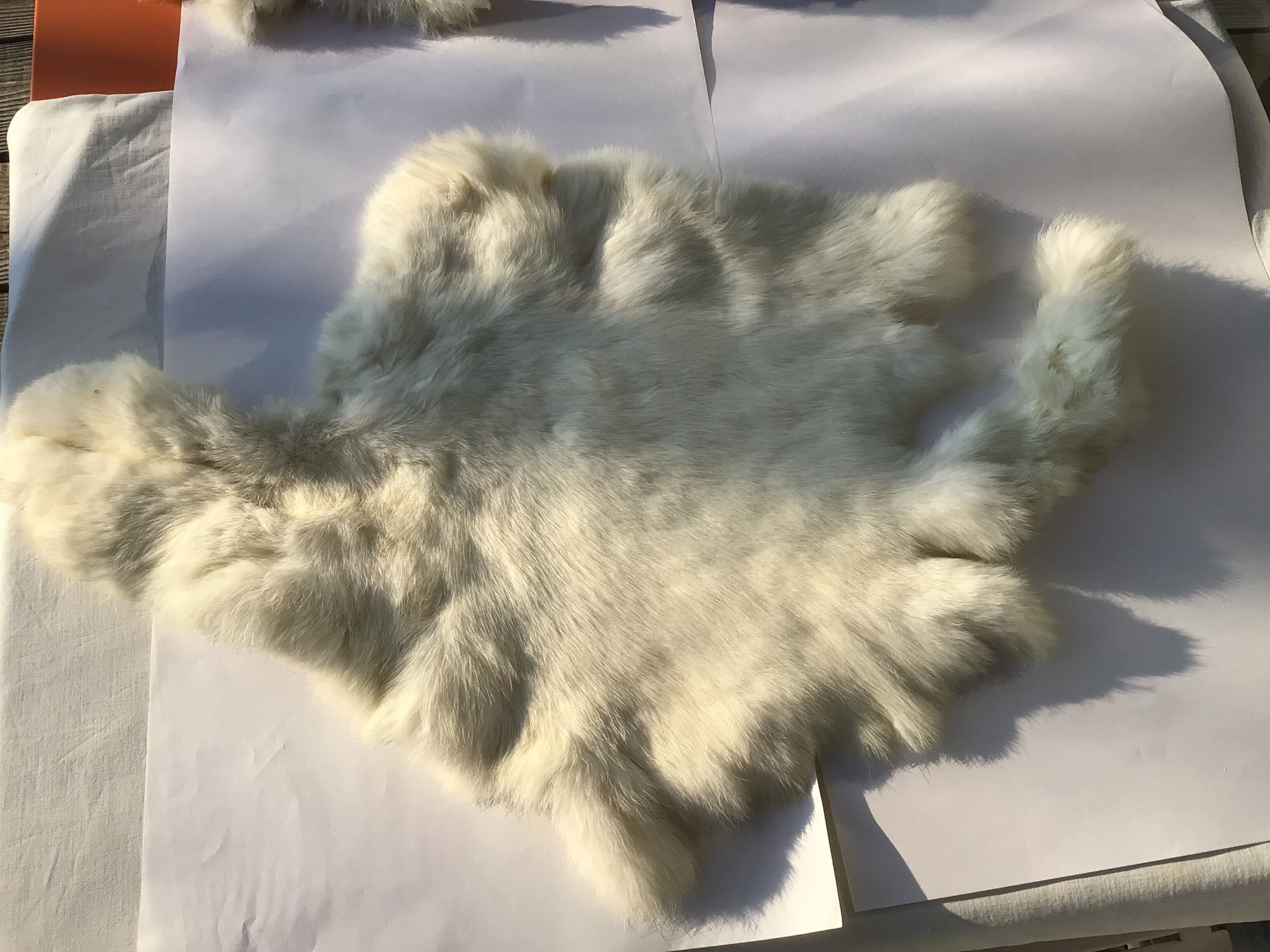 White rabbit skin