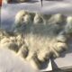 White rabbit skin