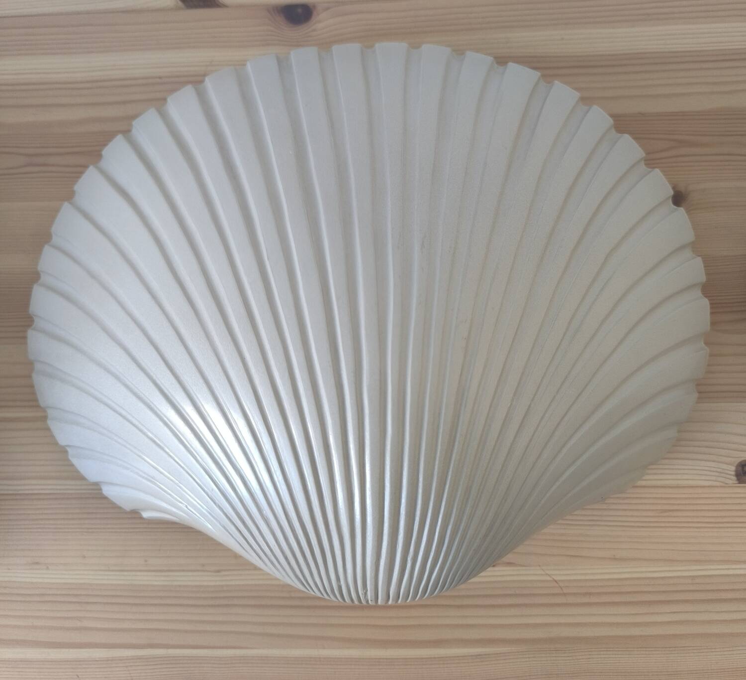 Pair of shell wall lights by Michèle Mahé, 1960s