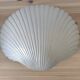 Pair of shell wall lights by Michèle Mahé, 1960s