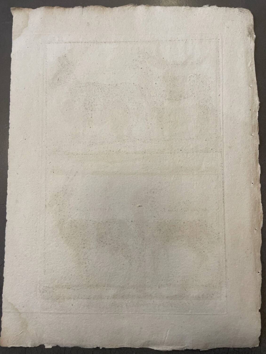 Engraving Old book 18th century Buffon, Bonnaterre, Natural history