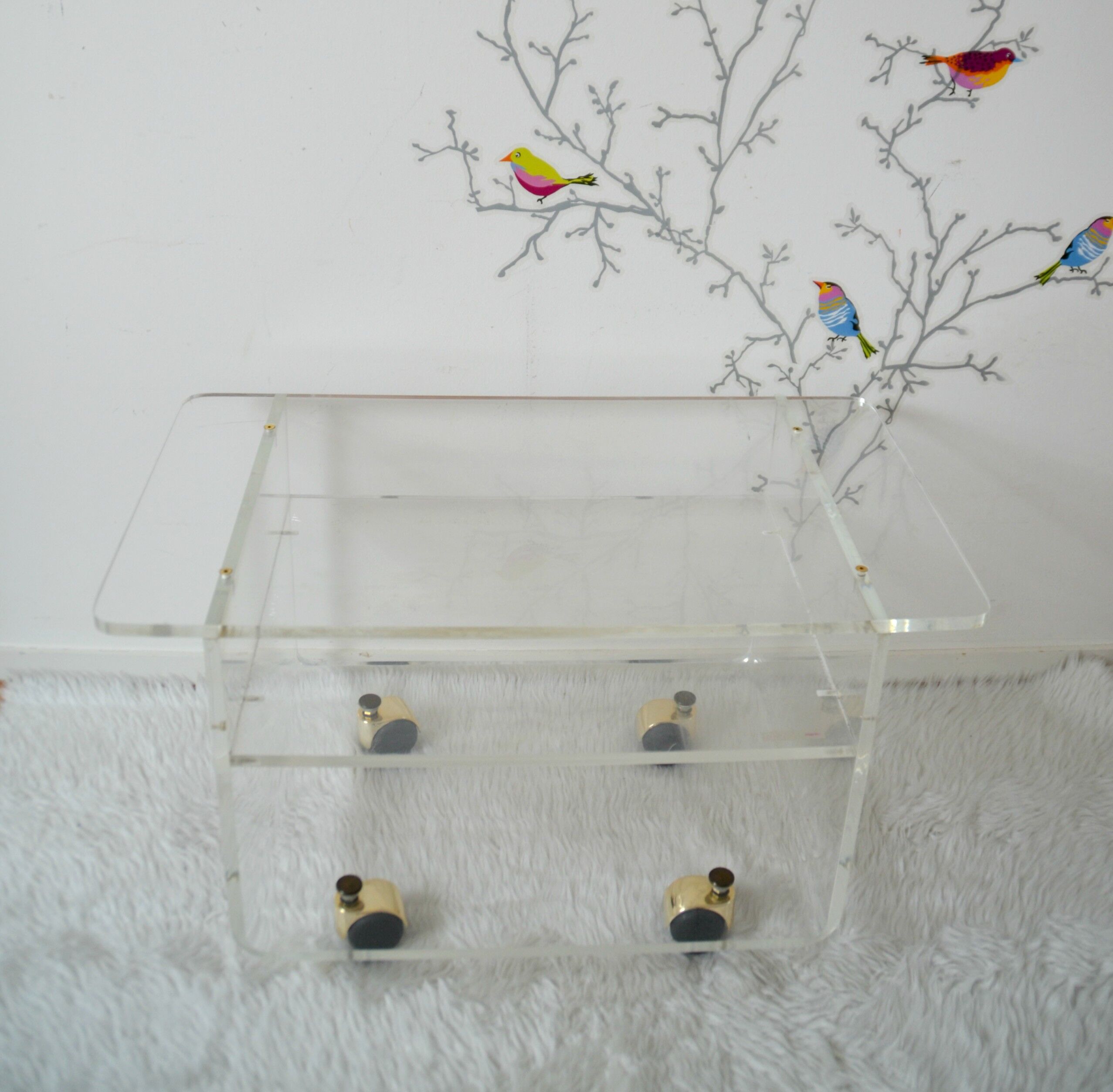The swamp invisible Plexiglas side table