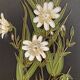 4 plaques fleurs vintage