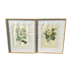 Botanical board duo