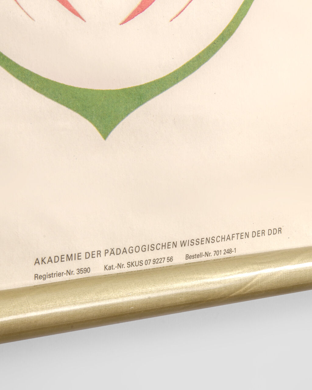 Affiche botanique Volk Und Wissen Volkseigener Verlag