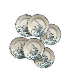 6 assiettes plates en - terre fer