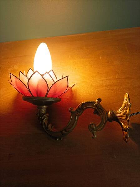 Wall lamp Lotus flower petal mother-of-pearl bronze base