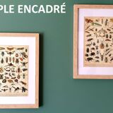Gravure ancienne 1898, Chapiteau, poteau, architecture • Lithographie, Planche originale