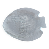Fish dish