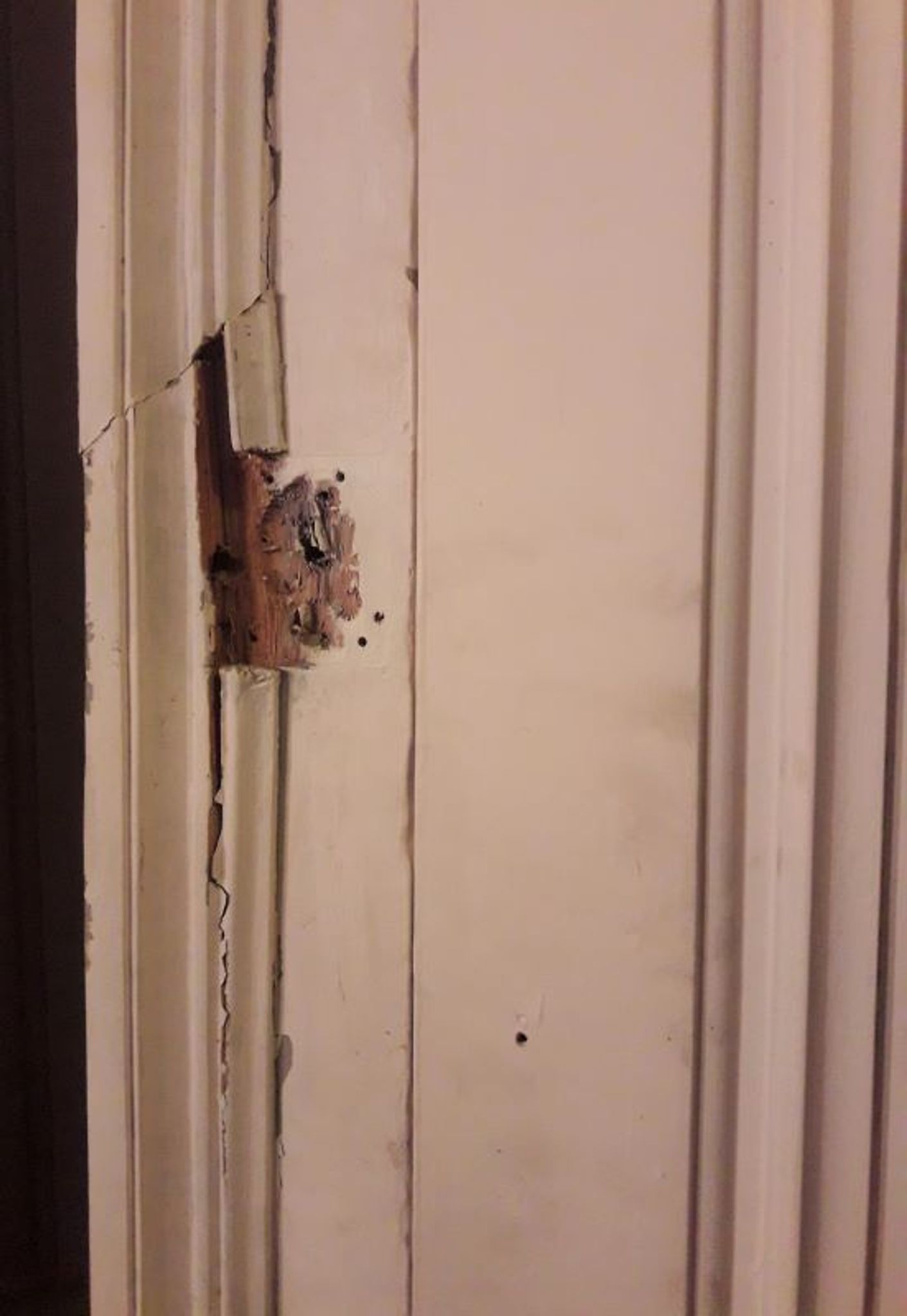 Haussmann door 83x219cm