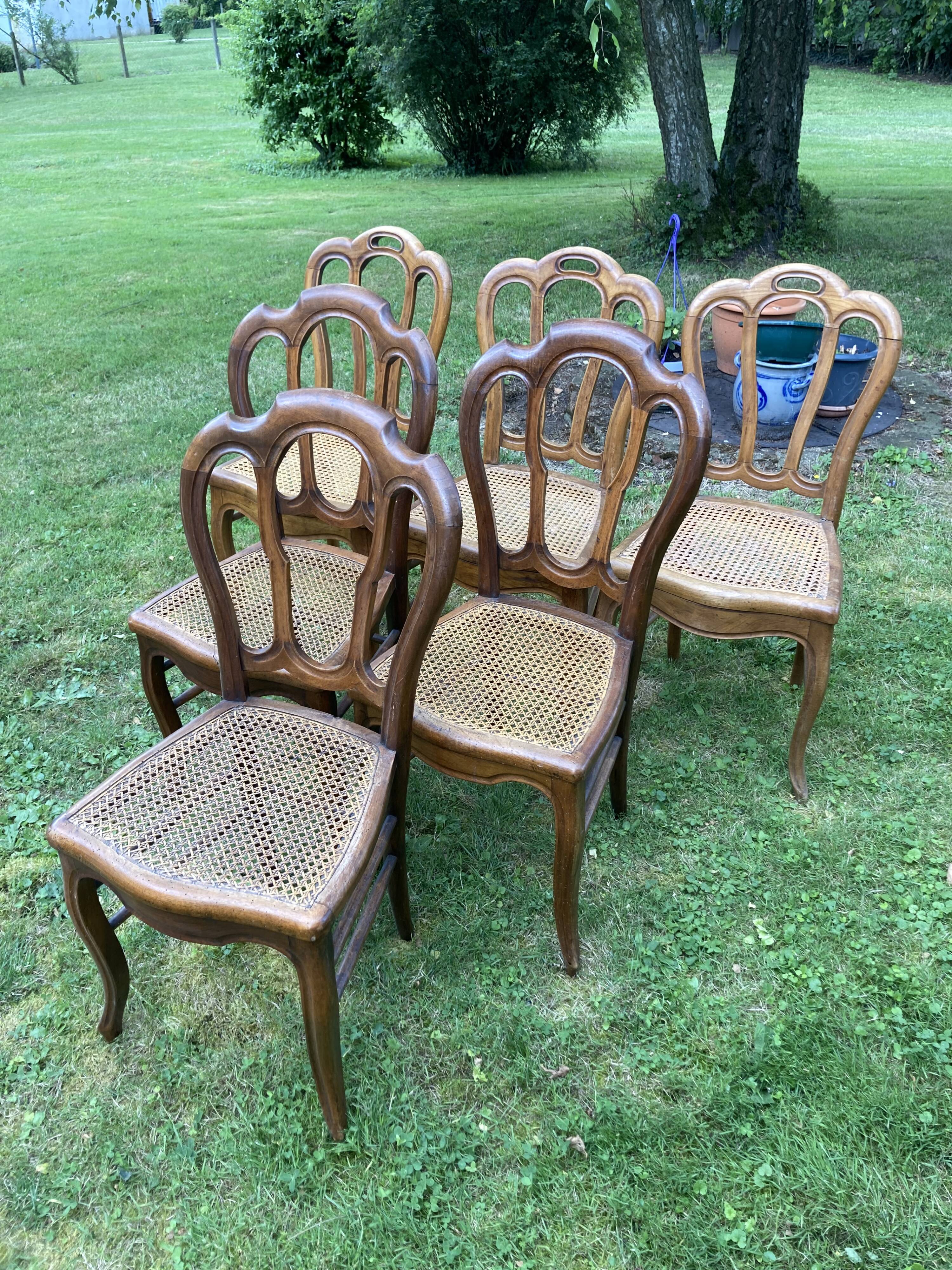 6 louis philippe cannate chairs