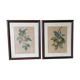 2 tableaux reproduction poires et prunes