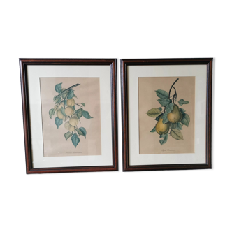 2 tableaux reproduction poires et prunes