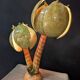 Lampes vintage en bois de coco