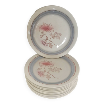 19 assiettes faience de saint amand  collection natacha