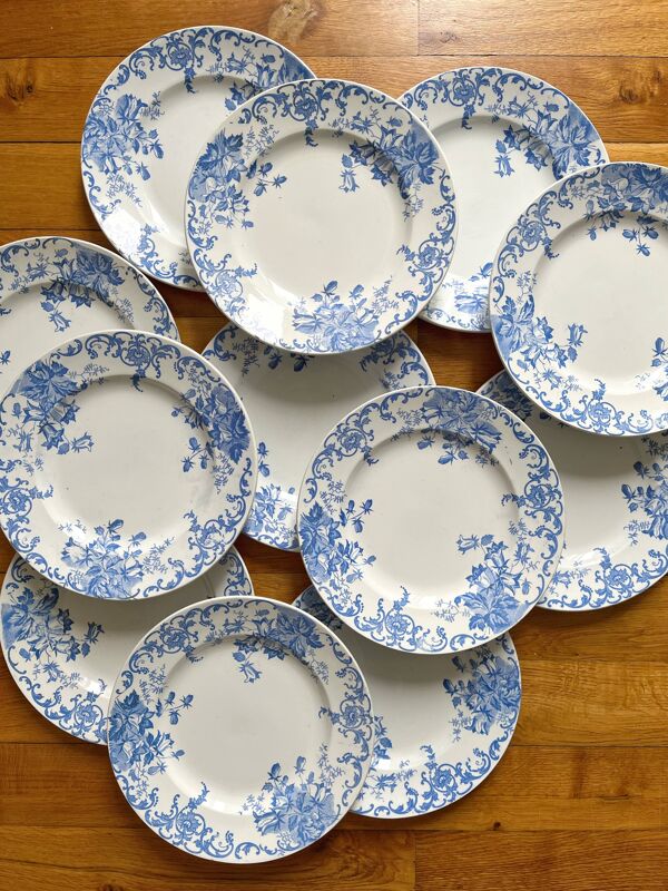 12 petites assiettes plates  ''Campanule'' Saint Amand et Hamage