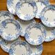 12 small flat plates "Campanule" Saint Amand and Hamage