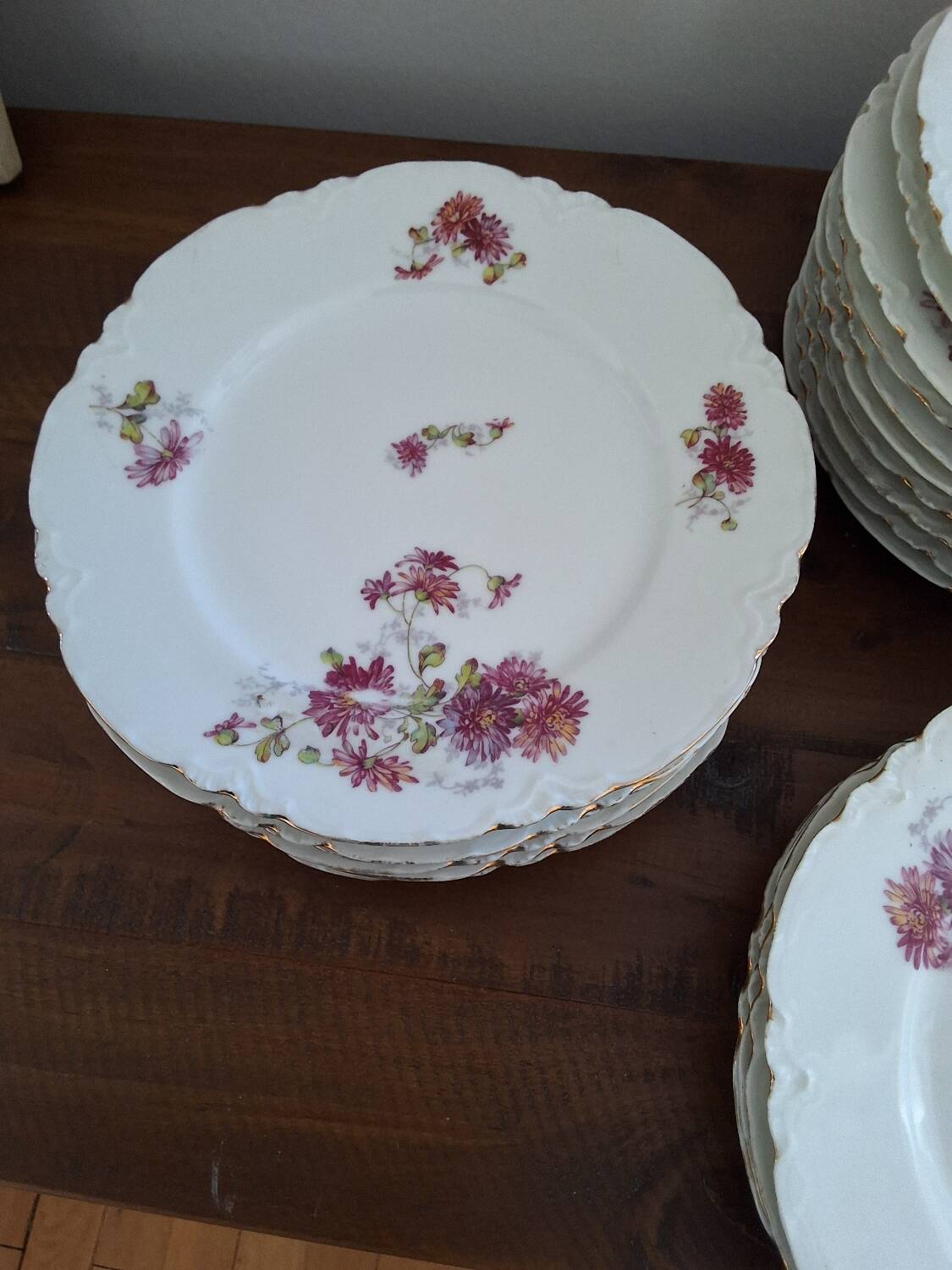 12 VINTAGE PORCELAIN PLATES "HAVILAND"