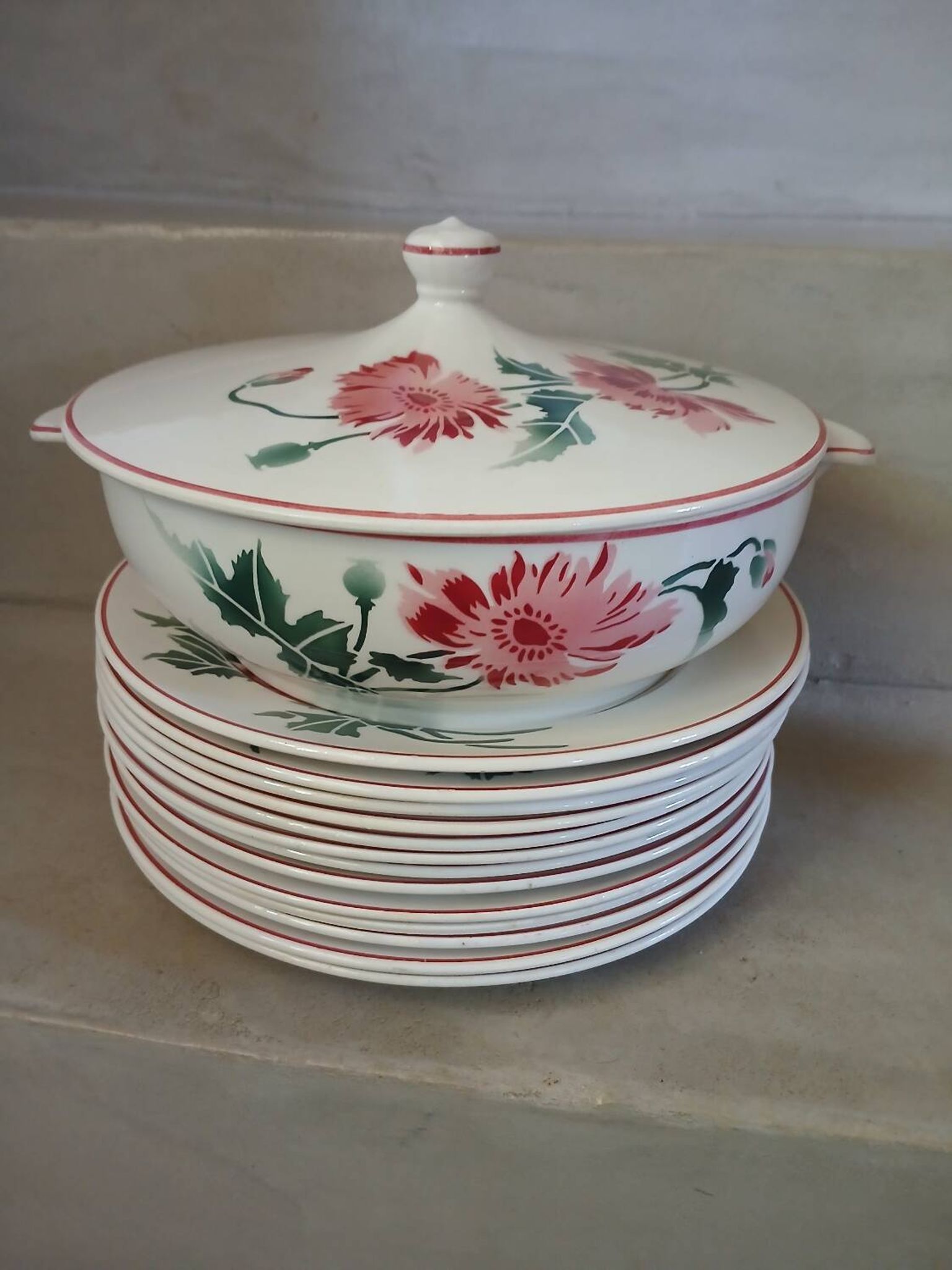 12 assiettes plates anciennes + soupière HBCM
