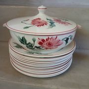 12 assiettes plates anciennes + soupière HBCM