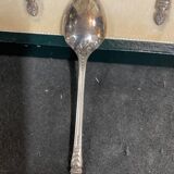 12-spoon silver metal shell