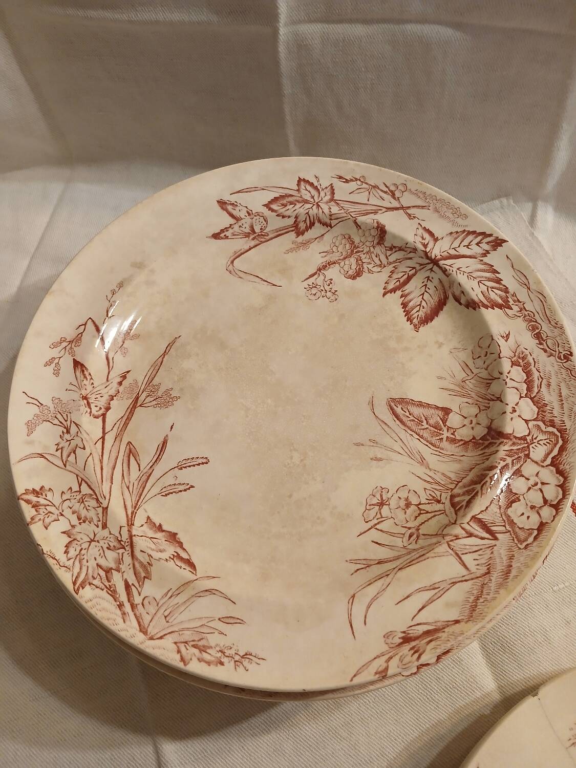 10 antique ironstone dinner plates