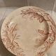 10 antique ironstone dinner plates