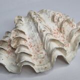 Ancient holy shell, 30 cm