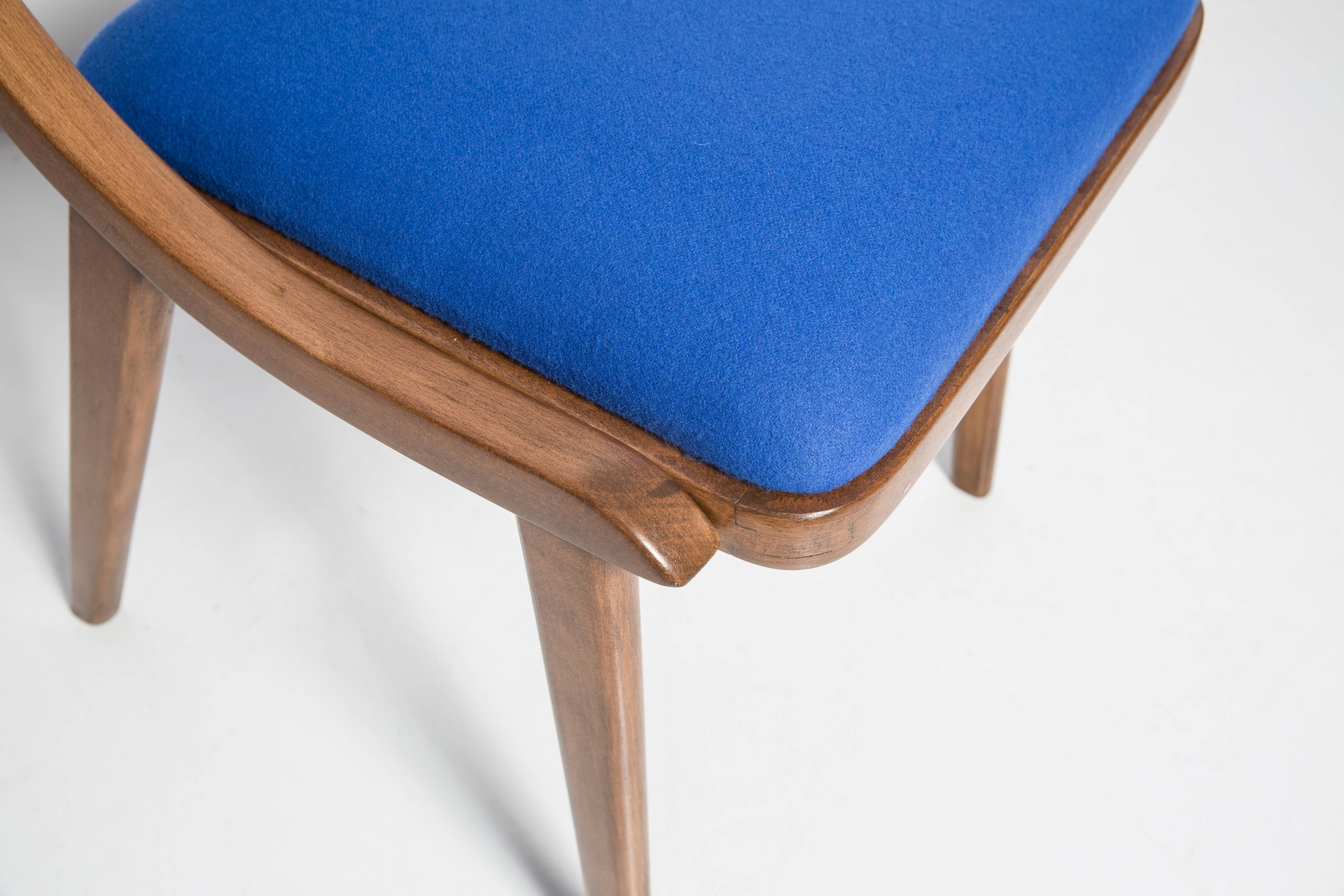 Bumerang Chair Mid-Century Modern, Royal Blue Wool, Poland, 1960s