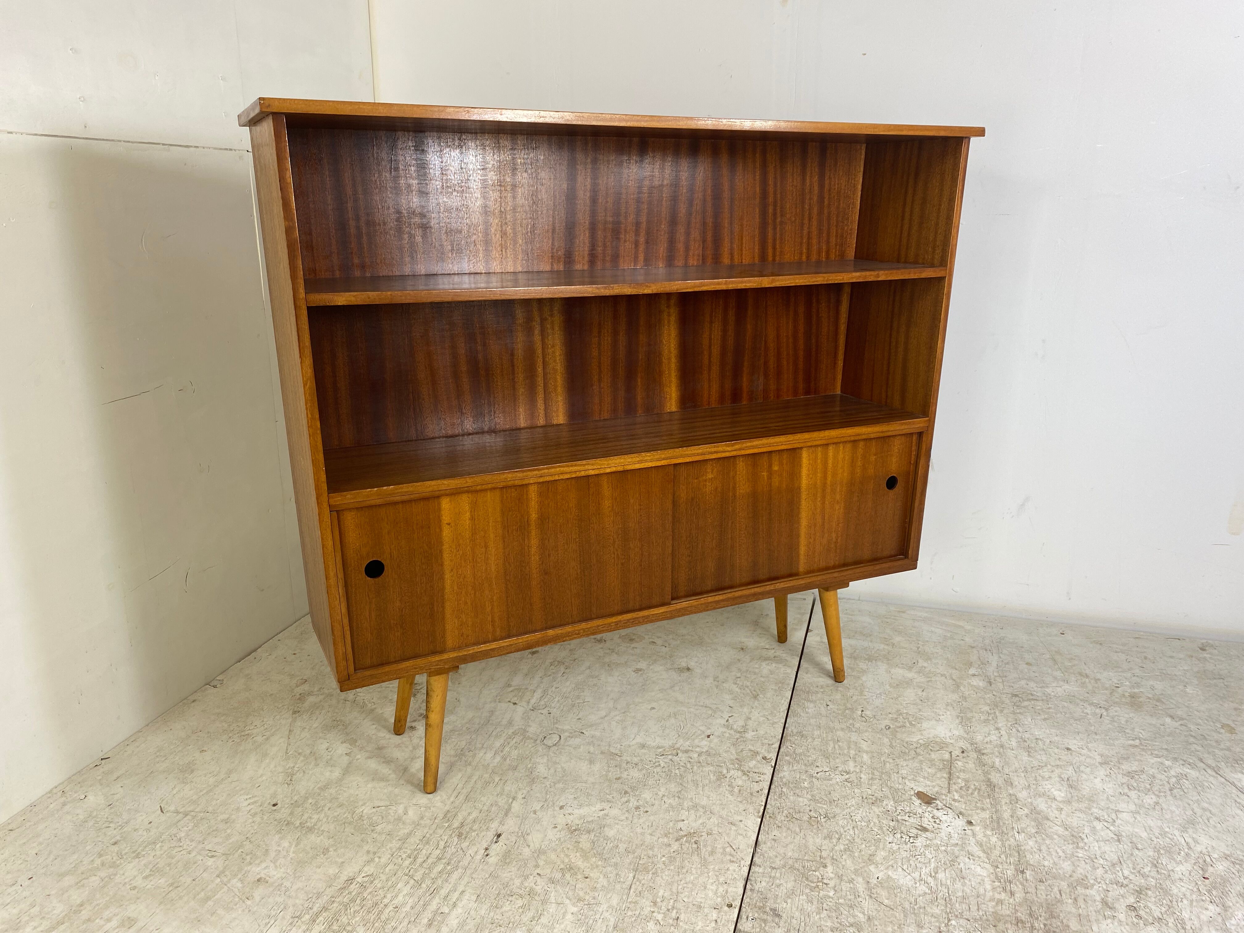 Vintage Mid-Century Teak Book Cabinet, 1950s