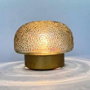 Midcentury Rare Flush Mount, Ceiling or Wall Lamp, Germany, 1970s