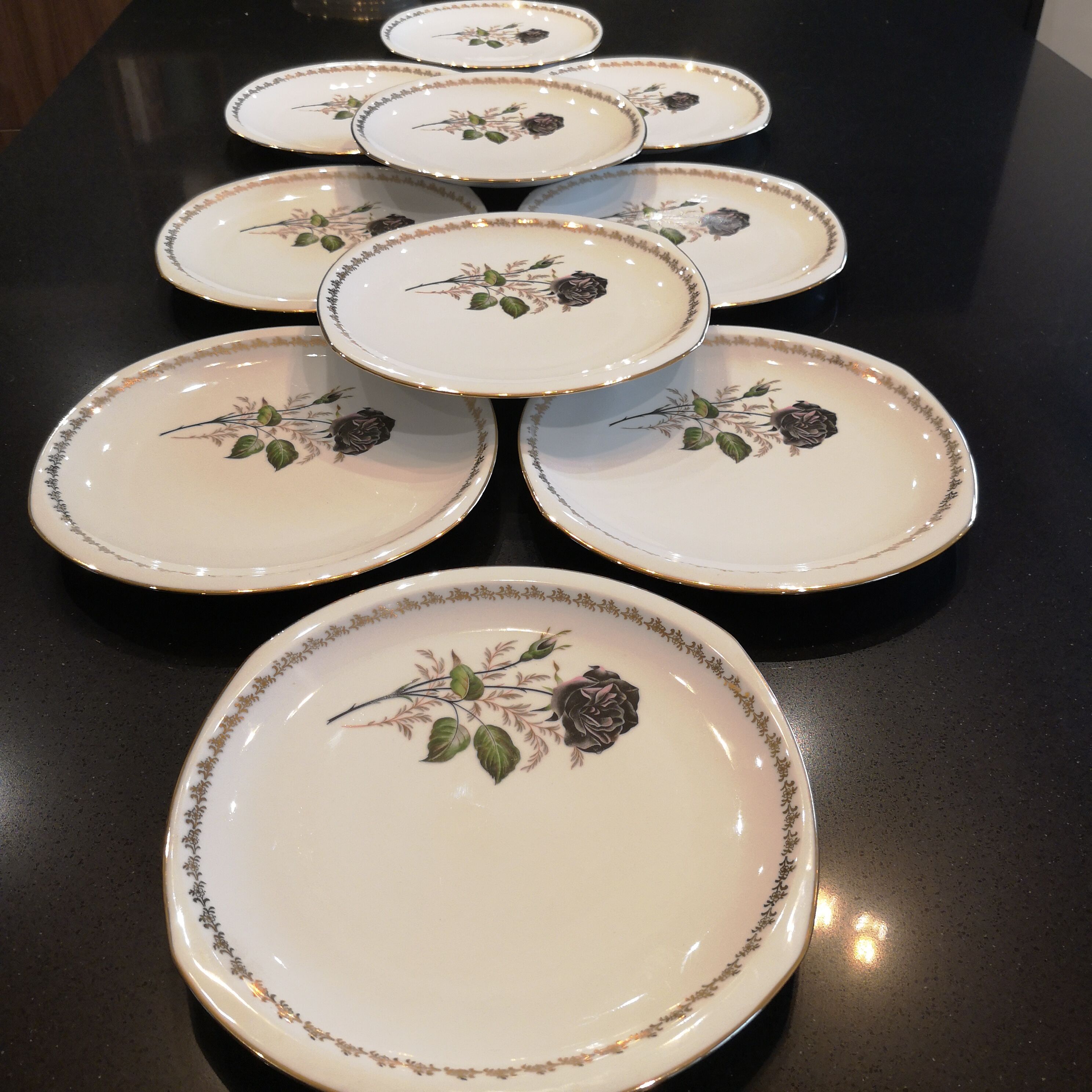 Service 16 porcelain plates from Limoges