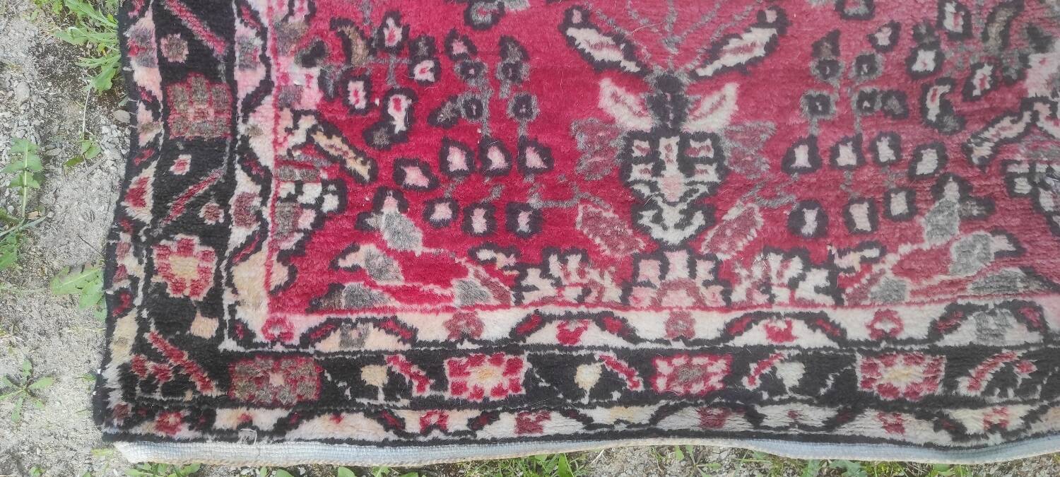 Wool carpet 4 m