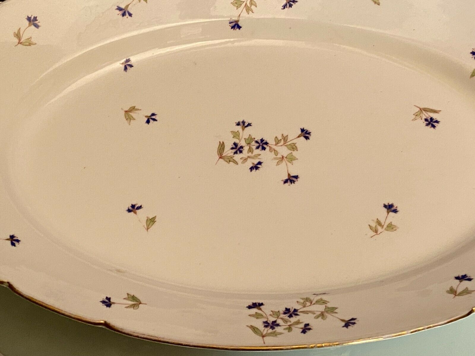 Oval-shaped dish in Limoges porcelain decoration with Louis XV style barbels