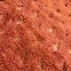 Limona/ Tapis Berbere Mrirt Orange