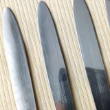 6 Bakelite table knives Pradel 255