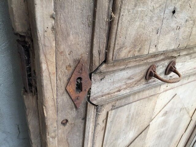 Old larch door