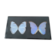 Naturalized butterflies